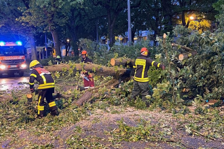 Ein Unwetter fegt über Deutschland hinweg, sorgt in einigen Regionen für Sachschäden.