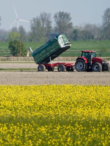 Die Umweltauflagen für Landwirte sollen auf EU-Ebene gelockert werden - das ist nicht unumstritten.
