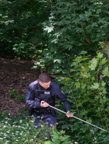 Polizisten suchen mit Suchstangen in einem Waldstück bei Döbeln nach der vermissten Grundschülerin.