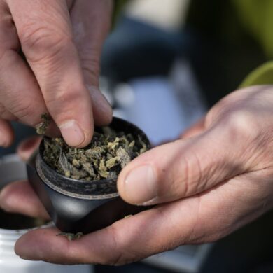 Die Bundesländer hätten bislang keine klaren Regelungen für die Lizenzen von Anbauflächen für Cannabis aufgestellt und «bis auf wenige Ausnahmen» noch nicht mal eine zuständige Behörde benannt.