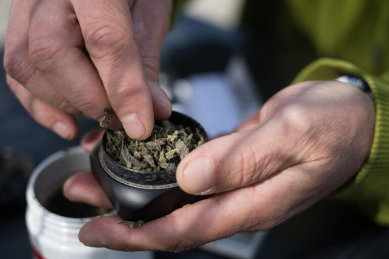 Die Bundesländer hätten bislang keine klaren Regelungen für die Lizenzen von Anbauflächen für Cannabis aufgestellt und «bis auf wenige Ausnahmen» noch nicht mal eine zuständige Behörde benannt.