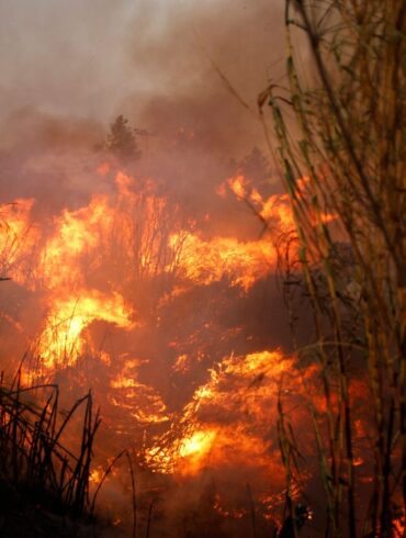 Der größte Waldbrand des Jahres ist gefährlich nah an die Hauptstadt Athen herangerückt.