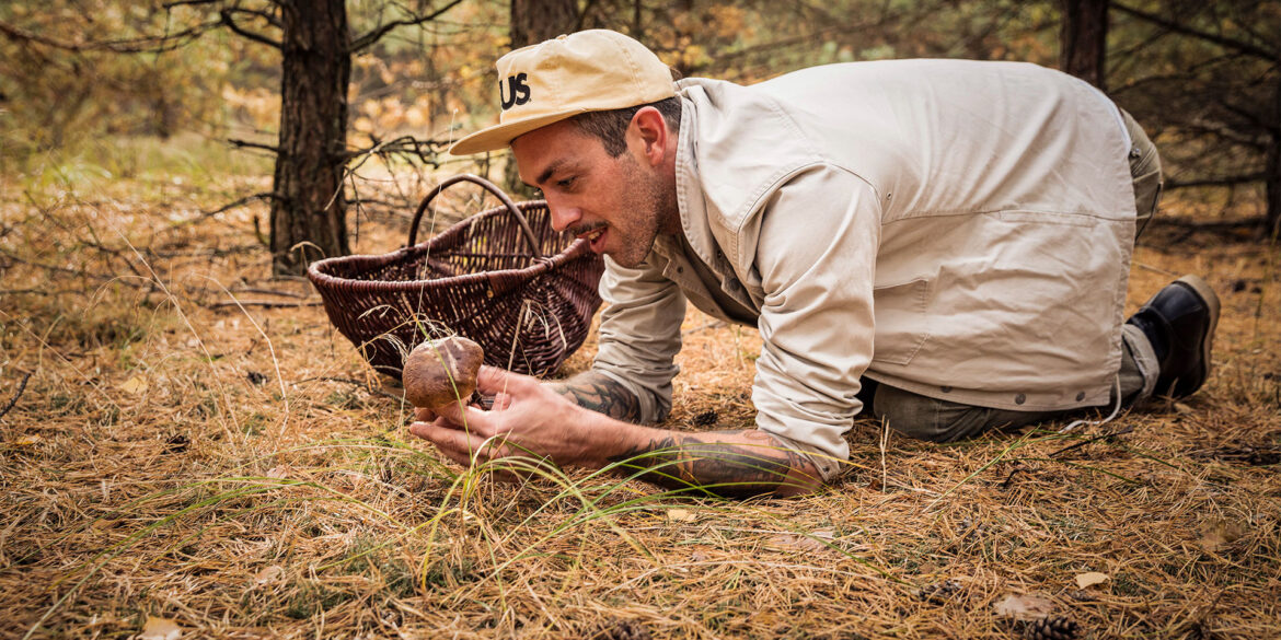Das Superfood aus dem Wald · Foto: Moritz Schmid