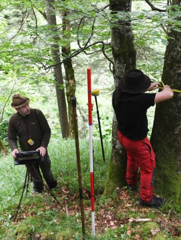 Für den Bericht wird eine Stichprobe des Waldes untersucht.
