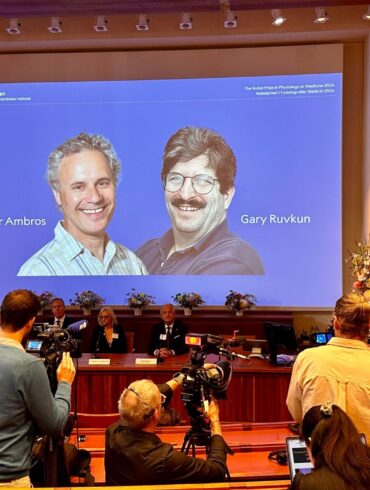 Der Nobelpreis für Medizin geht in diesem Jahr Victor Ambros  (li) und Gary Ruvkun für die Entdeckung der microRNA und ihrer Rolle bei der Genregulierung.
