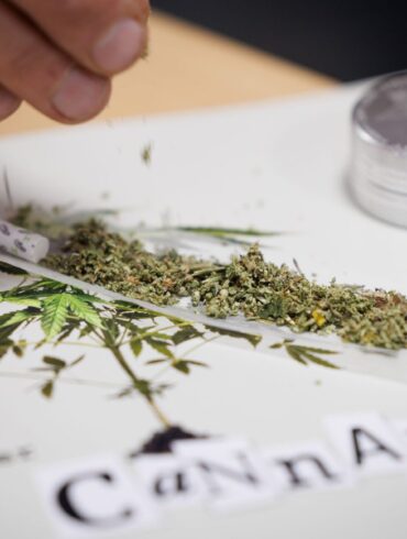 Seit 1. Juli können Erwachsene in nicht-kommerziellen «Anbauvereinigungen» Cannabis gemeinsam anbauen und untereinander zum Eigenkonsum abgeben. Zuvor müssen sie allerdings eine Erlaubnis beantragen.
