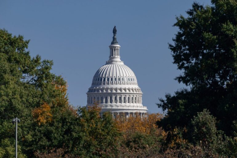 Blick auf das Kapitol in der US-Hauptstadt Washington.