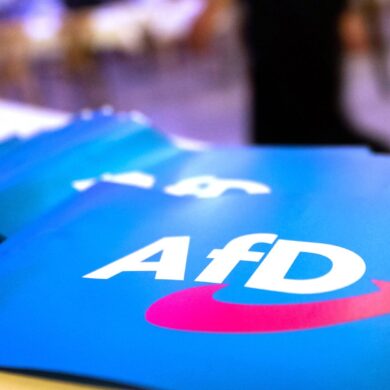Wirbel um AfD-Großspende. (Symbolbild)