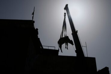 Vor Eid al-Adha-Fest: Ein Stier wird in Pakistan mit Kran von einem Dach gehoben.