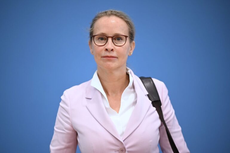Die von ihr beauftragte Kanzlei entlastet Frauke Brosius-Gersdorf.