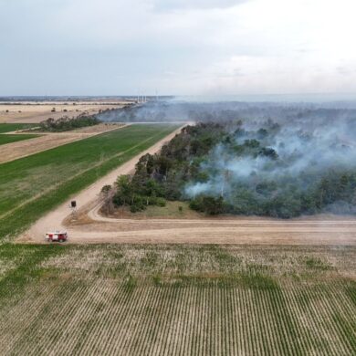 Wegen des Waldbrands in der Gohrischheide wurde Katastrophenalarm ausgelöst.