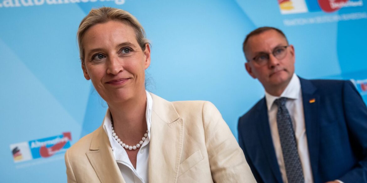 «An der AfD wird man nicht mehr vorbeiregieren können», meint Alice Weidel. (Archivfoto)