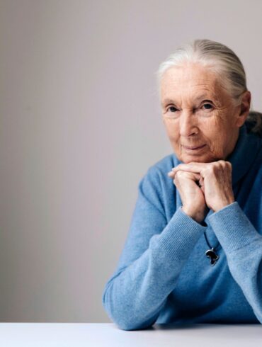 Die berühmte Schimpansenforscherin Jane Goodall ist im Alter von 91 Jahren gestorben. (Archivbild)