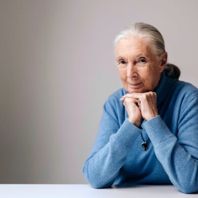 Die berühmte Schimpansenforscherin Jane Goodall ist im Alter von 91 Jahren gestorben. (Archivbild)