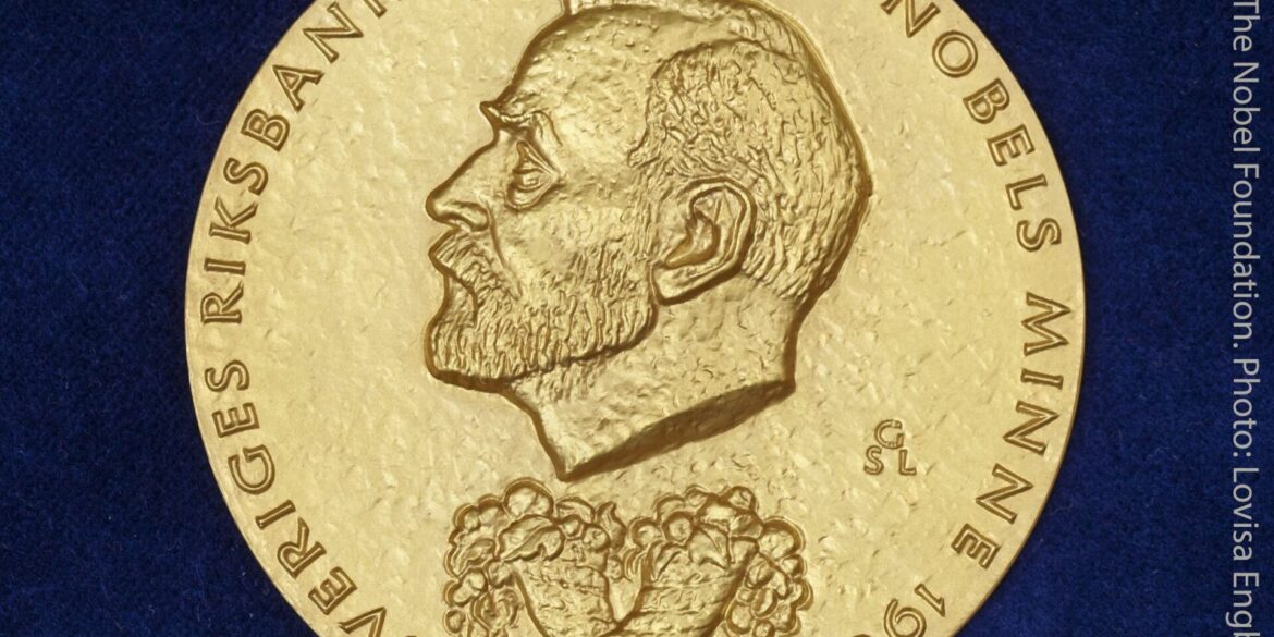 Die Wirtschaftsnobelpreisträger erhalten traditionell diese prestigeträchtige Nobelmedaille. (Archivbild)