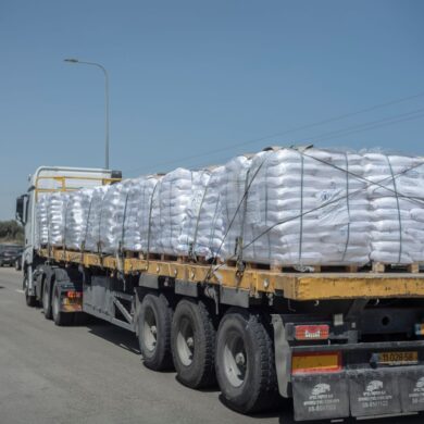 Im Rahmen der Waffenruhe-Vereinbarung sollen pro Tag 600 Lkw mit Hilfsgütern in den Gazastreifen kommen. (Archivbild)