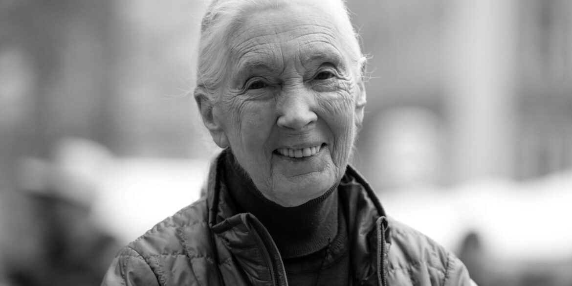 Die britische Schimpansen-Forscherin und Umwelt-Aktivistin Jane Goodall ist tot.
