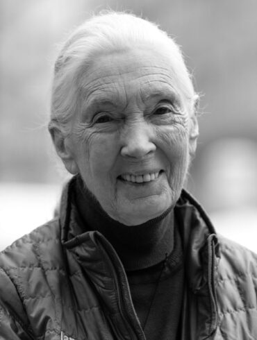 Die britische Schimpansen-Forscherin und Umwelt-Aktivistin Jane Goodall ist tot.