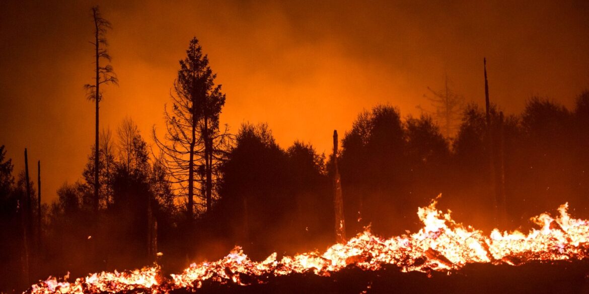 Die Waldbrandgefahr steigt mit dem Klimawandel, da Dürren häufiger werden. (Illustration)