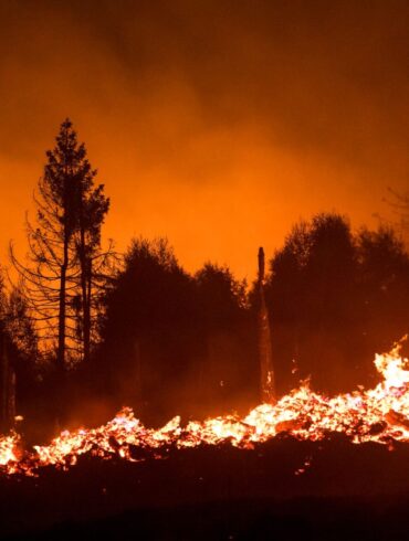 Die Waldbrandgefahr steigt mit dem Klimawandel, da Dürren häufiger werden. (Illustration)