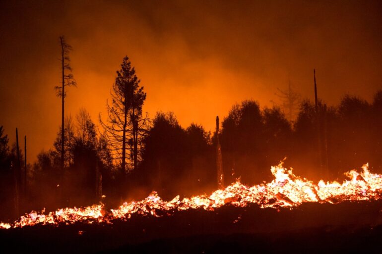 Die Waldbrandgefahr steigt mit dem Klimawandel, da Dürren häufiger werden. (Illustration)