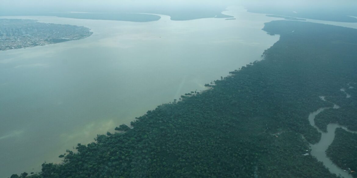 Durch den an die Millionenstadt Belém grenzenden Wald fließt der Fluss Guama.