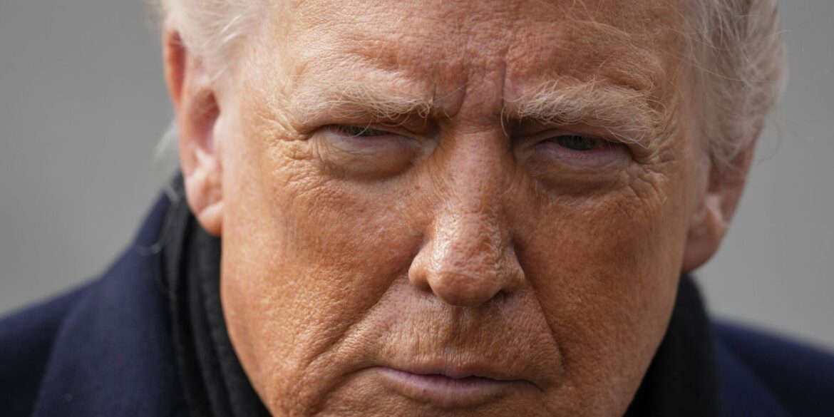 Trump kündigt Zölle unter anderem gegen Deutschland an - wegen des Grönland-Konflikts. (Archivbild)