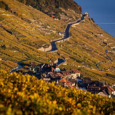 Der Kanton Waadt ist durch Weinanbau geprägt. (Archivbild)
