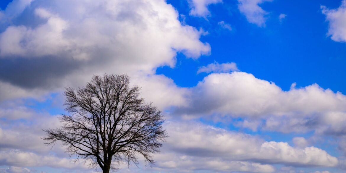 Landschaft kann so schön sein! Wolken ziehen am blauen Himmel über die Landschaft im südöstlichen Brandenburg.