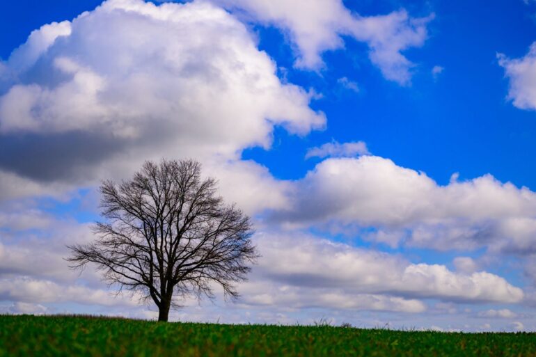 Landschaft kann so schön sein! Wolken ziehen am blauen Himmel über die Landschaft im südöstlichen Brandenburg.