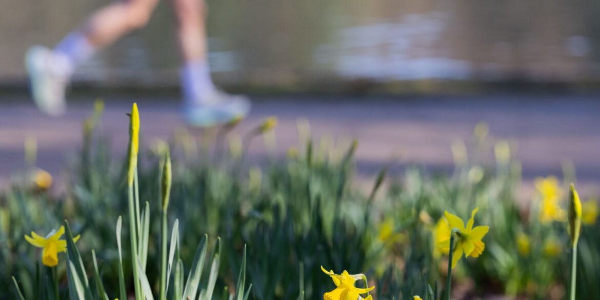 Ein Jogger läuft bei frühlingshaften Temperaturen am Adenauer Weiher im Stadtwald von Köln.