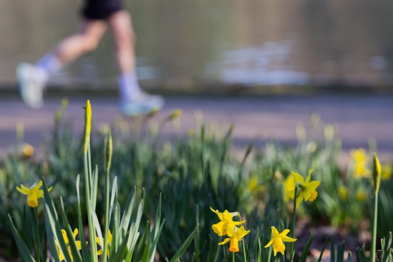 Ein Jogger läuft bei frühlingshaften Temperaturen am Adenauer Weiher im Stadtwald von Köln.