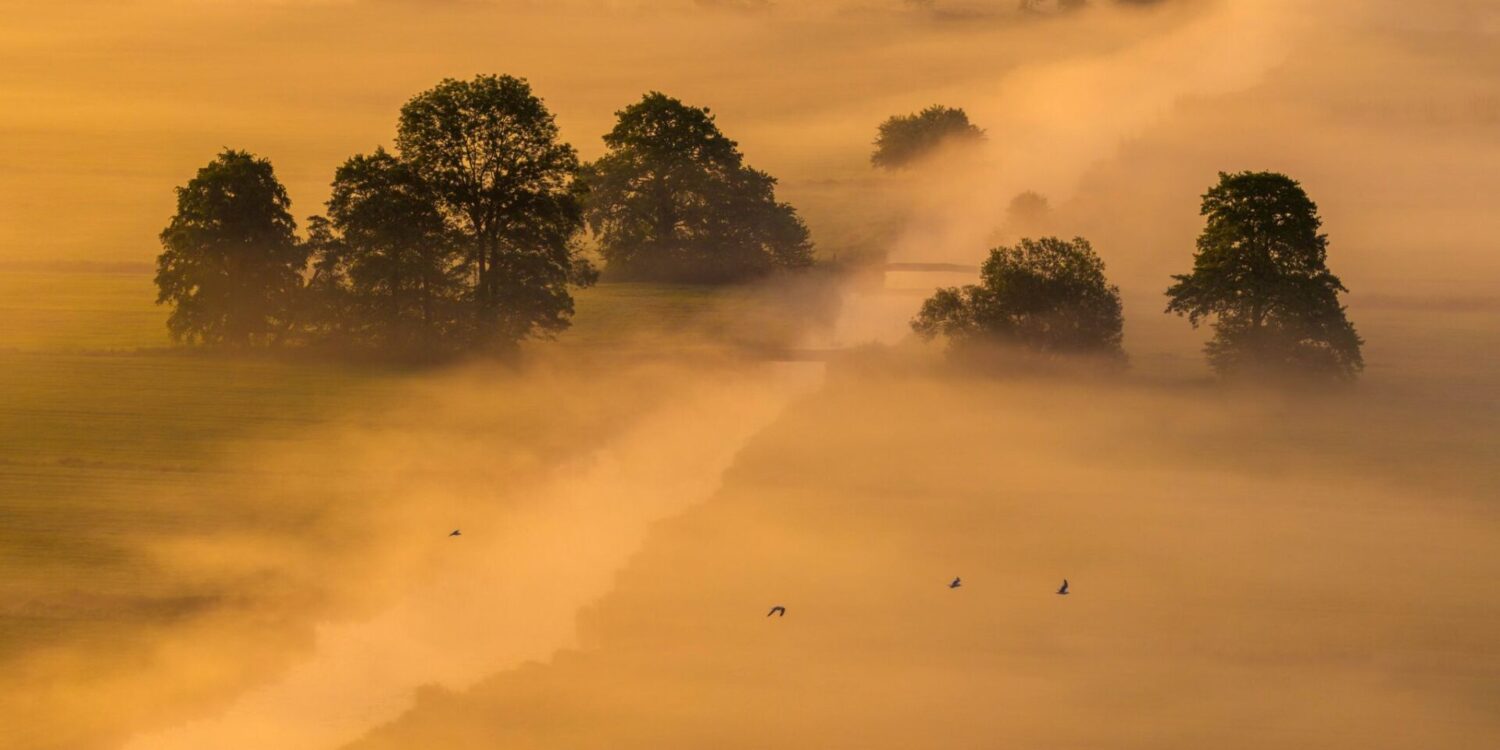Morgennebel und Sonnenaufgang