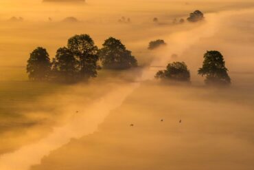 Morgennebel und Sonnenaufgang