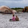 Der tote Wal liegt am Strand der dänischen Insel Anholt, nachdem er aus dem Wasser gezogen wurde.