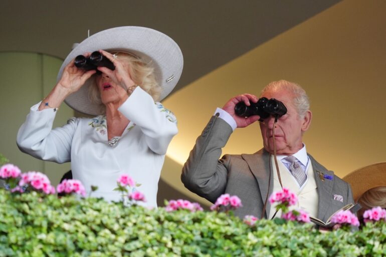 Alles im Blick: Königin Camilla und König Charles III. verfolgen die Rennen auf der Royal Ascot auf der Pferderennbahn.