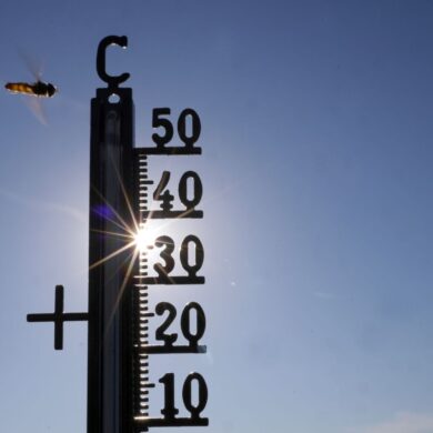 Die Temperaturen können bei bis zu 39 Grad liegen.