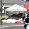 Sicherheitskräfte untersuchen das Wrack eines zivilen Flugzeugs.