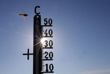 Die Temperaturen können bei bis zu 39 Grad liegen.