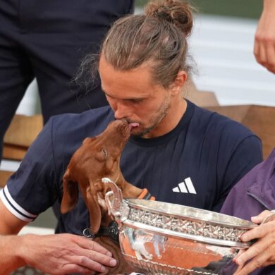 Dackel-Kuss fürs Herrchen - Zverev gewinnt French Oen