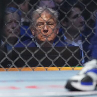 Konzentriert scheint US-Präsident Donald Trump einen Kampf bei den  UFC Freedom 250 zu verfolgen