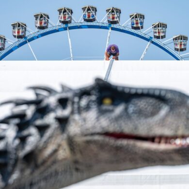 Zwischen Riesenrad und Dinosaurier - Volksfest wird aufgebaut