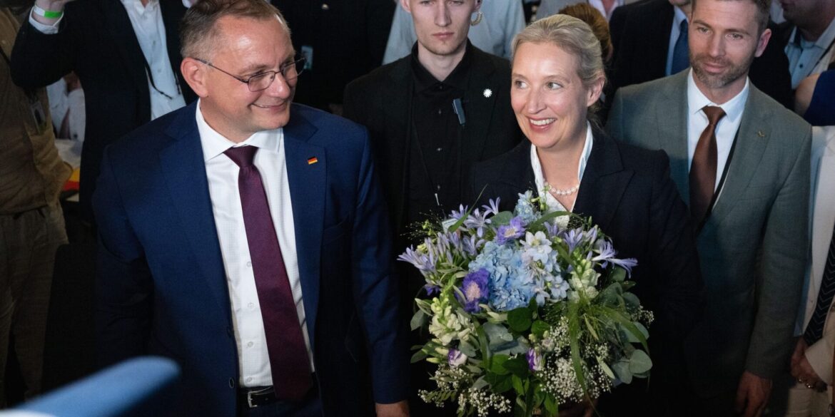 Für Alice Weidel lief die Wiederwahl zur Bundesvorsitzenden etwas besser als für den Co-Vorsitzenden, Tino Chrupalla.