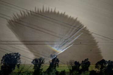 Trockenheit in Deutschland: Ein Feld bei Köln wird bewässert.