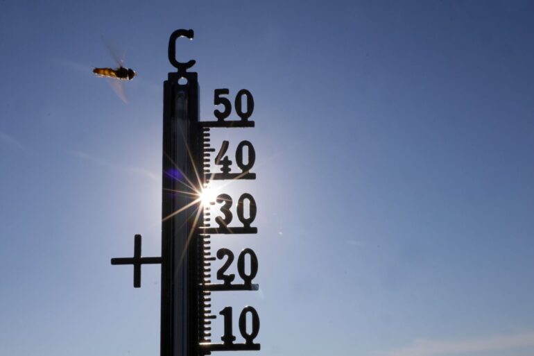 Hat die Hitze mit dem Klimawandel zu tun? Die meisten Menschen in Deutschland gehen davon aus. (Symbolbild)