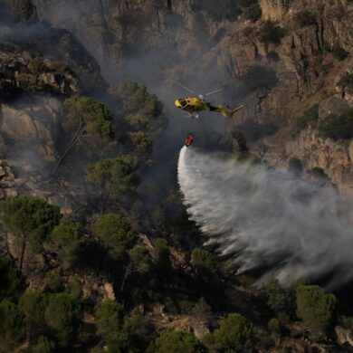 In Spanien sind die verheerenden Waldbrände in den Regionen Madrid, Ávila und Toledo inzwischen weitgehend eingedämmt.