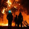 Wald- und Flächenbrände in Griechenland verursachen verheerende Schäden.