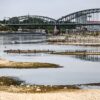 Der Rhein bei Köln
