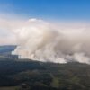 Der Waldbrand im belgischen Moorgebiet.