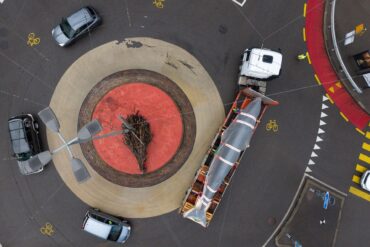 Der präparierte Wal des Naturhistorischen Museums Freiburg (MHNF) wird in Freiburg auf einem Anhänger transportiert.